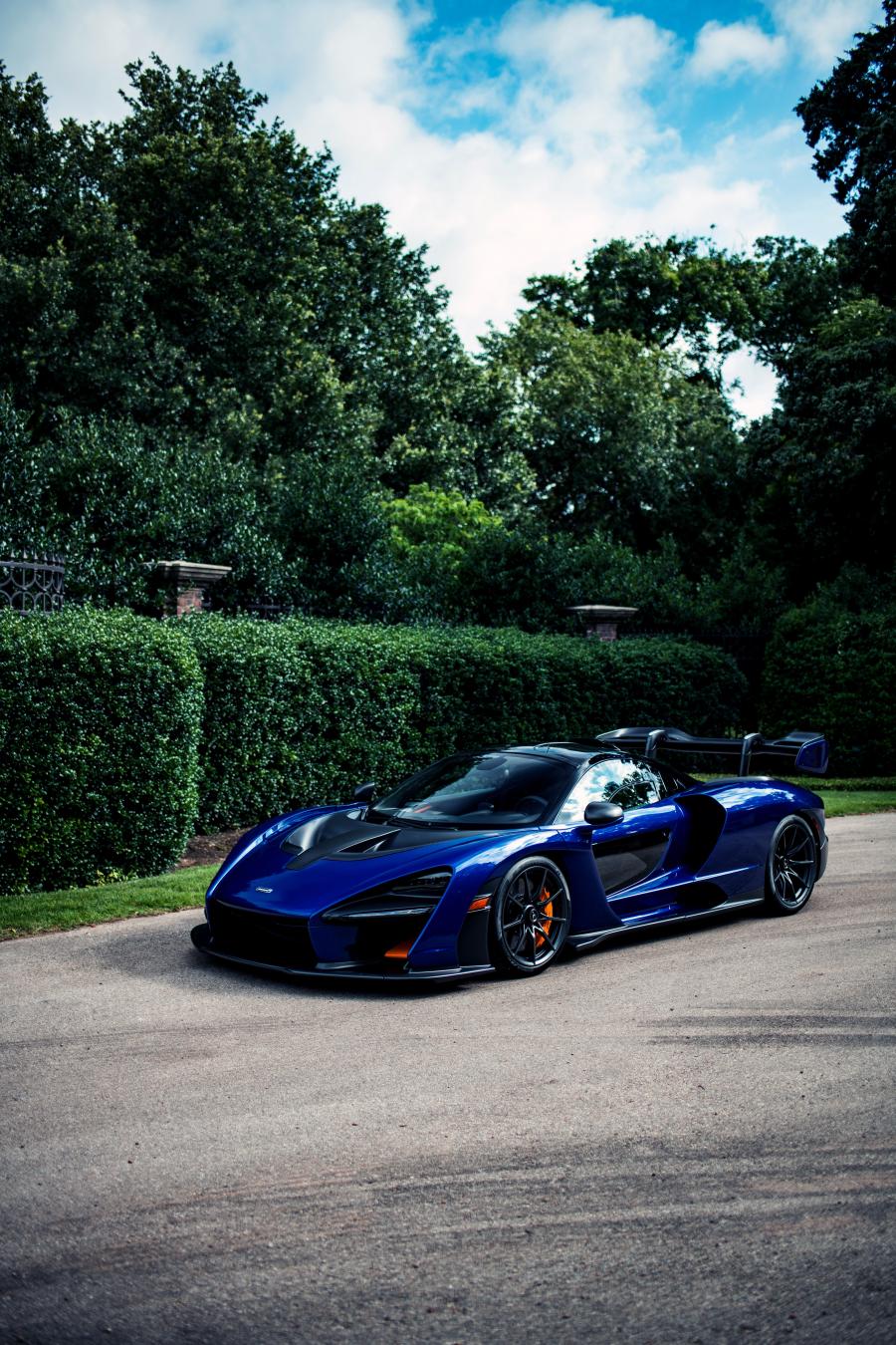  McLaren Senna (P15) 2019 года  (NA) (фото 8 из 44)